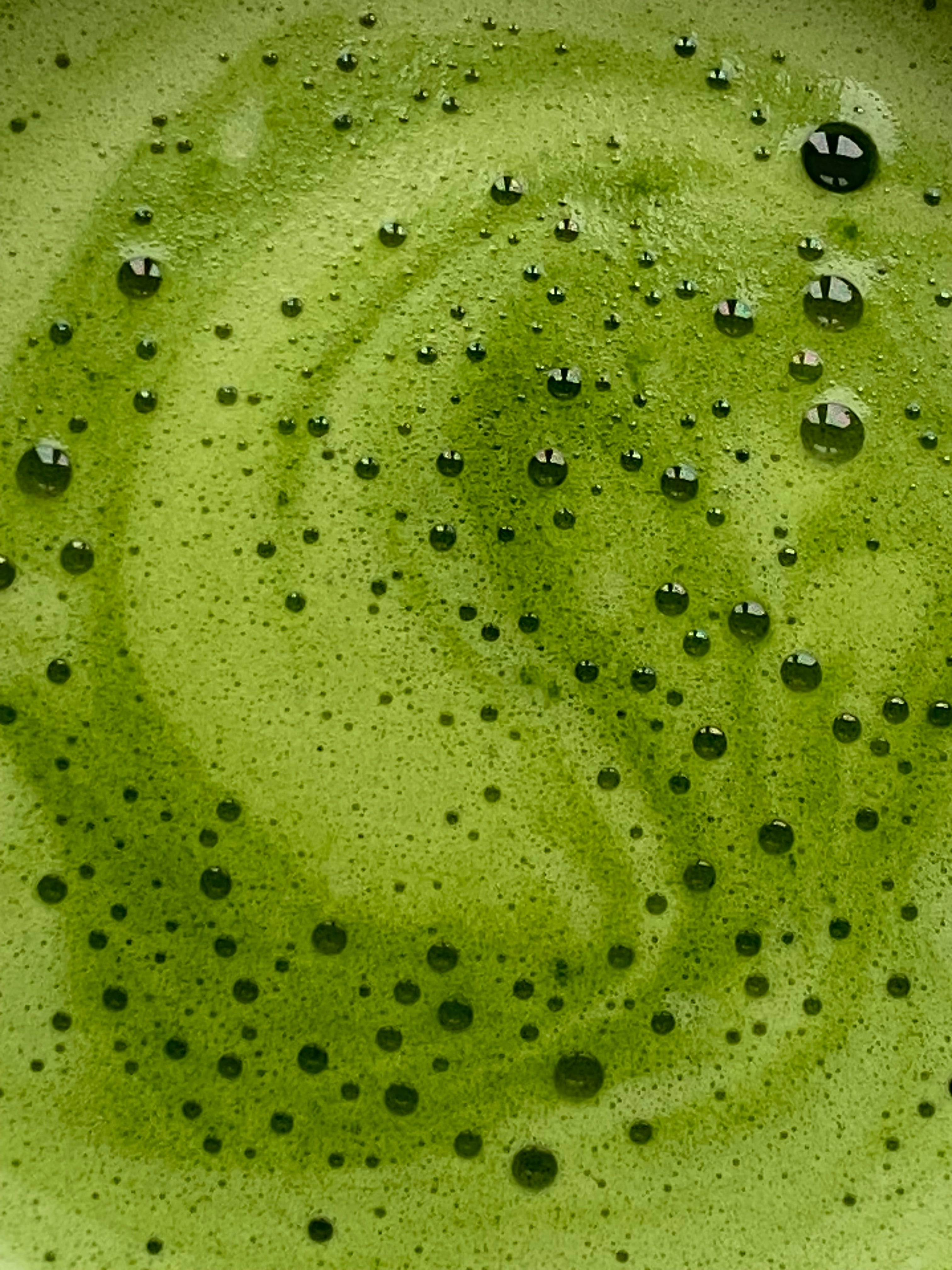 Matcha et eczéma : ce que l’on sait, sans promesse miracle
