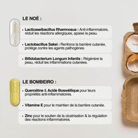 Pack Compléments: Noé + Bombeiro